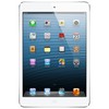 Apple iPad mini 16Gb Wi-Fi + Cellular белый - Нальчик