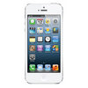 Apple iPhone 5 16Gb white - Нальчик